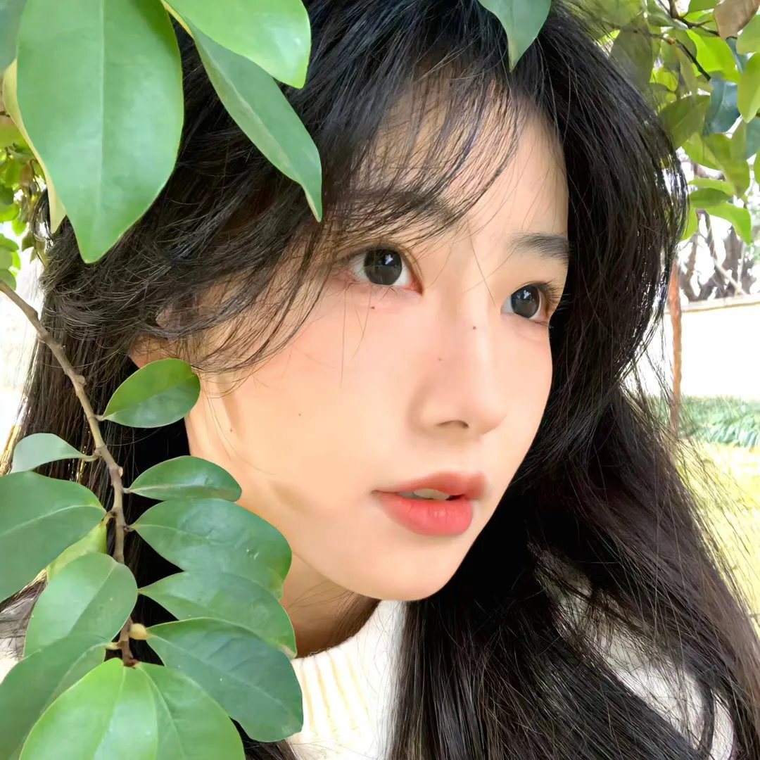 吟唱未来之歌的牛