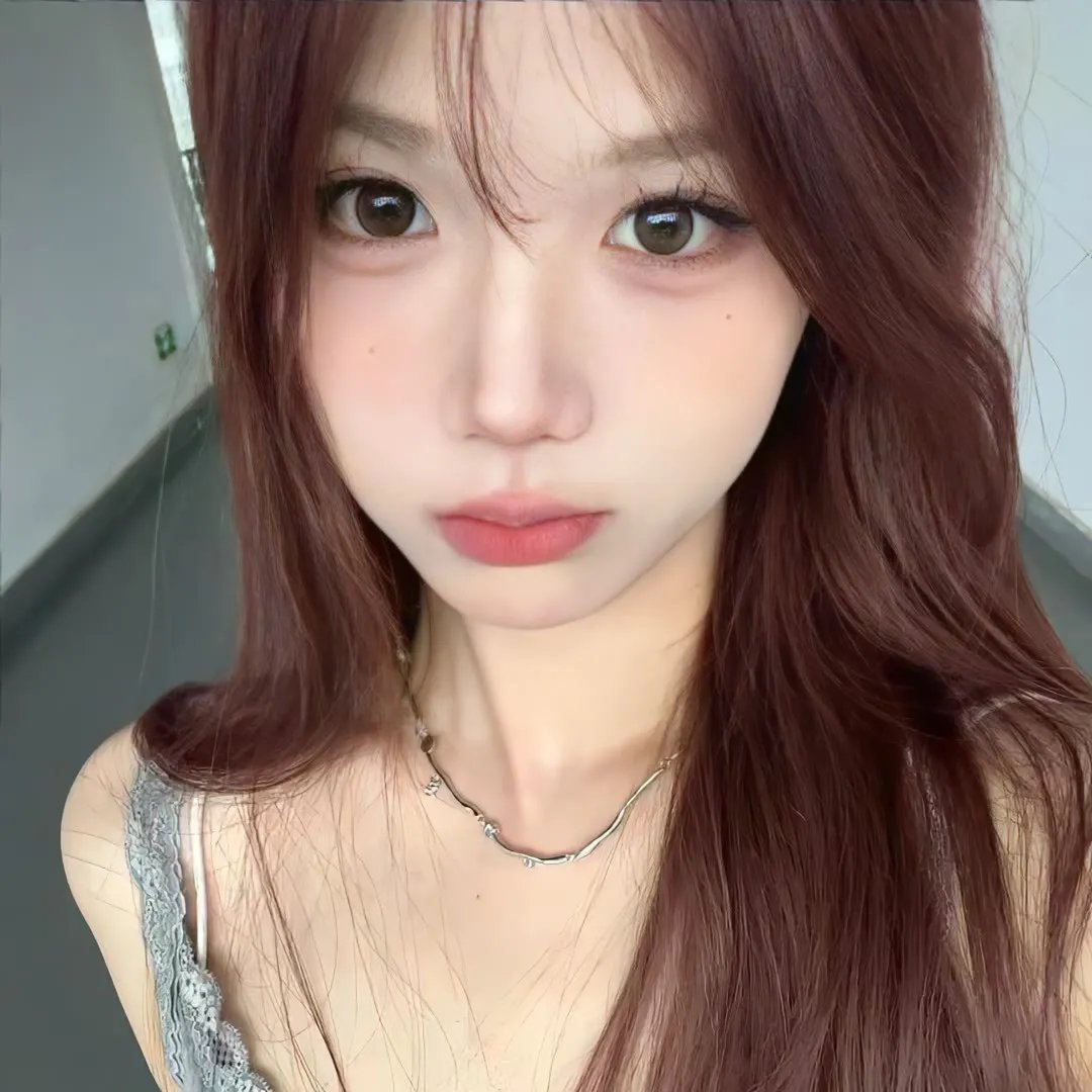 如果德川家康成为总理大臣